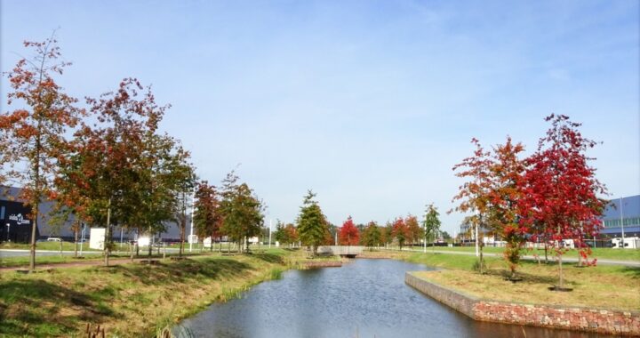 Circulaire Bedrijventerreinen – Duurzame waterwinning