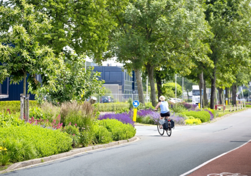 Circulaire Bedrijventerreinen – Biodiversiteit